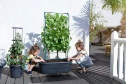 Elho Green Basics Veggie Wall 80 Cm -Garten Flaire Verkaufsgeschäft elho green basics veggie wall 80 cm 1 st 1671238 de