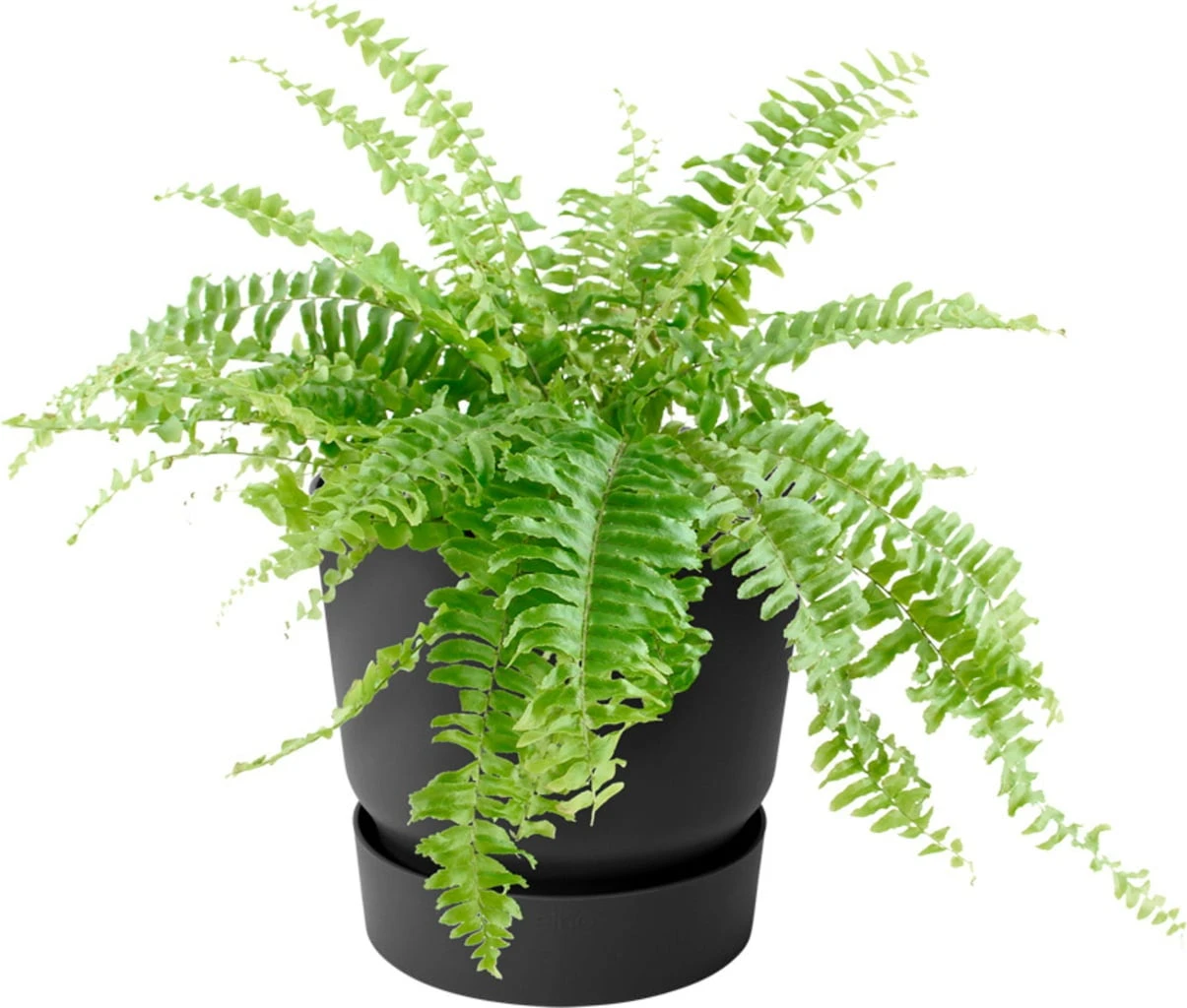 Elho Greenville Balkongefäß "easy Hanger" Single, Living Schwarz 6 Elho Greenville Balkongefäß "easy Hanger" Single, Living Schwarz - Image 4