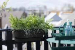 Elho Greenville Easy Balcony 52 Cm, Living Schwarz -Garten Flaire Verkaufsgeschäft elho greenville easy balcony 52 cm living schwarz 1134884 de