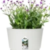 Elho Greenville Topf Rund 14 Cm, Weiss -Garten Flaire Verkaufsgeschäft elho greenville topf rund 14 cm vit 1676227 de