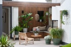 Elho Greenville Topf Rund 40 Cm, Laubgrün -Garten Flaire Verkaufsgeschäft elho greenville topf rund 40 cm listnato zelena 1083001 de