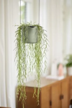 Elho Hängetopf 18cm B.for Swing, Steingrün 15 Elho Hängetopf 18cm B.for Swing, Steingrün -Garten Flaire Verkaufsgeschäft elho haengetopf 18cm bfor swing steingruen 1345762 de