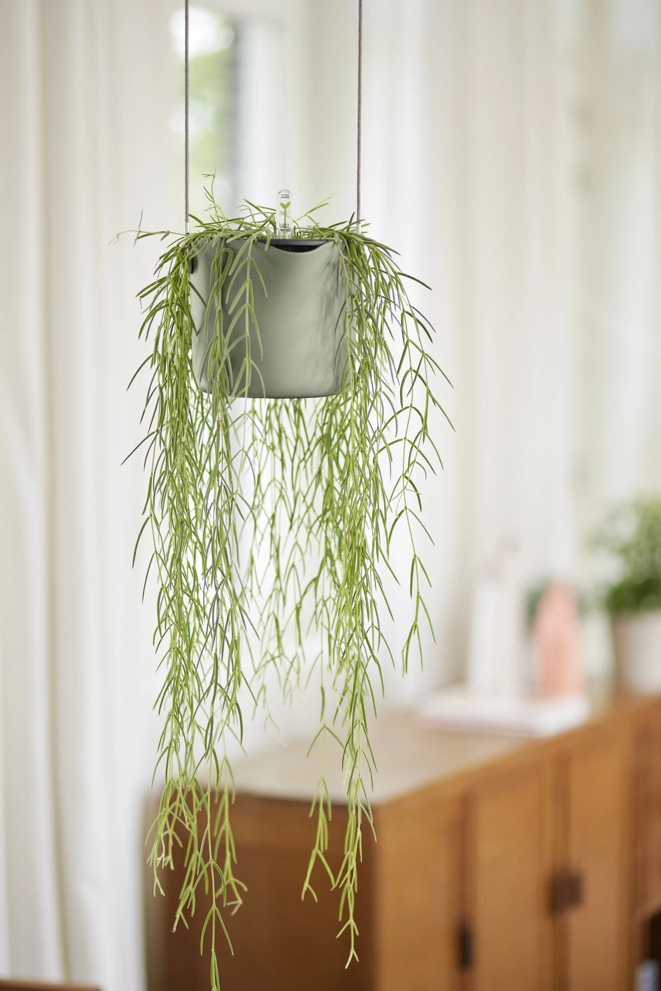 Elho Hängetopf 18cm B.for Swing, Steingrün 7 Elho Hängetopf 18cm B.for Swing, Steingrün - Image 5