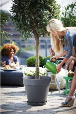 Elho Loft Urban Untersetzer Rund 28, Anthrazit -Garten Flaire Verkaufsgeschäft elho loft urban untersetzer rund 28 1667067 de