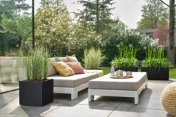 Elho Pflanzkasten Vivo Next Lang - 60 Cm, Living Schwarz -Garten Flaire Verkaufsgeschäft elho pflanzkasten vivo next lang 60 cm levande svart 1471750 de