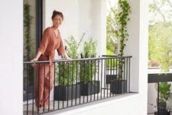 Elho Pflanzkasten Vivo Next Lang - 60 Cm, Living Schwarz -Garten Flaire Verkaufsgeschäft elho pflanzkasten vivo next lang 60 cm levande svart 1471767 de