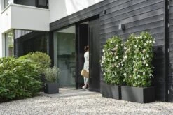 Elho Pflanzkasten Vivo Next Lang - 60 Cm, Living Schwarz -Garten Flaire Verkaufsgeschäft elho pflanzkasten vivo next lang 60 cm living schwarz 1247702 de