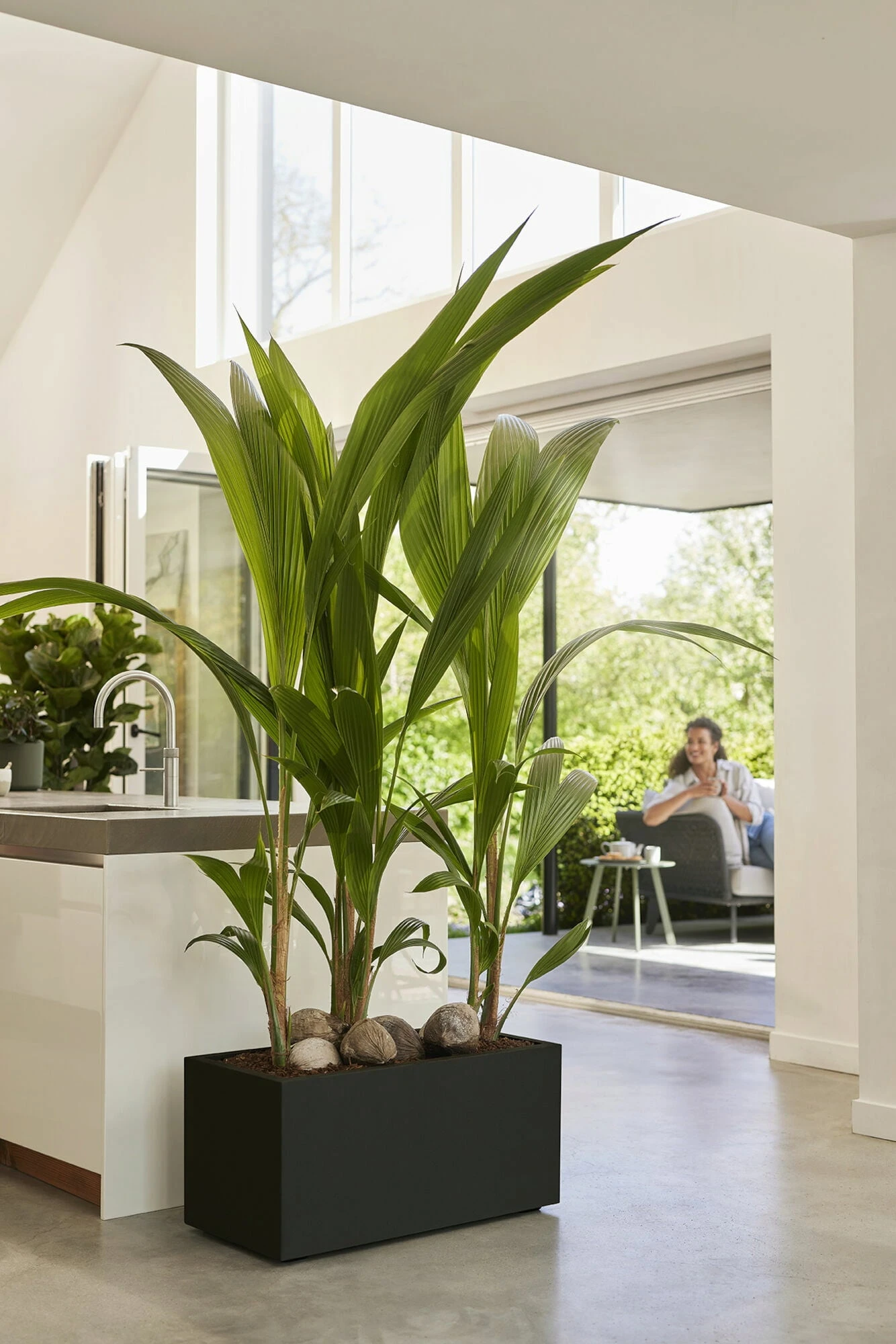 Elho Pflanzkasten Vivo Next Lang - 80 Cm, Living Schwarz 9 Elho Pflanzkasten Vivo Next Lang - 80 Cm, Living Schwarz – Bild 7