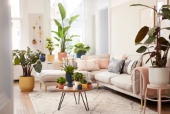 Elho Vibes Fold Rund 16 Cm, Sorbet Grün -Garten Flaire Verkaufsgeschäft elho vibes fold rund 16 cm 1672246 de