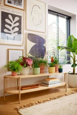 Elho Vibes Fold Rund 25 Cm, Seidenweiß -Garten Flaire Verkaufsgeschäft elho vibes fold rund 25 cm 1495548 de