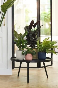 Elho Vibes Fold Rund 30 Cm, Seidenweiß -Garten Flaire Verkaufsgeschäft elho vibes fold rund 30 cm seidenweiss 1048832 de