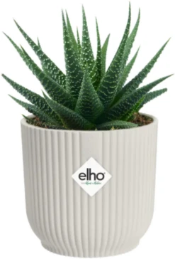 Elho Vibes Fold Rund Mini 11 Cm, Seidenweiß -Garten Flaire Verkaufsgeschäft elho vibes fold rund mini 11 cm silkesvit 1676220 de