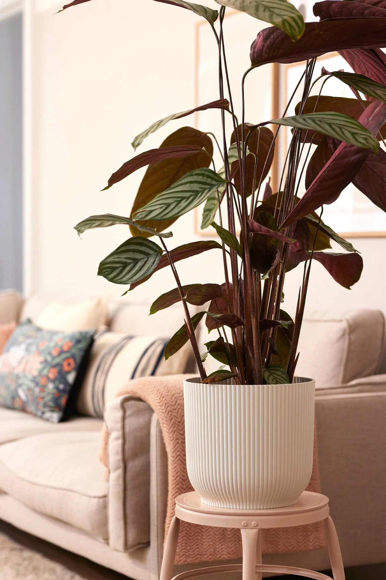 Elho Vibes Fold Rund Mit Rollen 35 Cm, Seidenweiß 11 Elho Vibes Fold Rund Mit Rollen 35 Cm, Seidenweiß – Bild 9