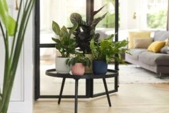 Elho Vibes Fold Rund 14 Cm, Seidenweiß -Garten Flaire Verkaufsgeschäft elho vibes topf 14 cm 842583 de