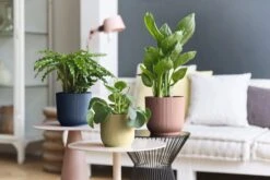 Elho Vibes Fold Rund 16 Cm, Sorbet Grün -Garten Flaire Verkaufsgeschäft elho vibes topf 16 cm 842179 de