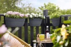 Elho Vibia Campana Easy Hanger Large, Anthrazit -Garten Flaire Verkaufsgeschäft elho vibia campana easy hanger large anthrazit 1207685 de