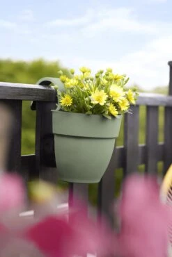 Elho Vibia Campana Easy Hanger Small, Pistazien Grün 8 Elho Vibia Campana Easy Hanger Small, Pistazien Grün -Garten Flaire Verkaufsgeschäft elho vibia campana easy hanger small pistazien gruen 1129947 de