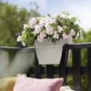 Elho Vibia Campana Flower Bridge 40 Cm, Pistazien Grün 2 Elho Vibia Campana Flower Bridge 40 Cm, Pistazien Grün -Garten Flaire Verkaufsgeschäft elho vibia campana flower bridge 40 cm 1129254 de