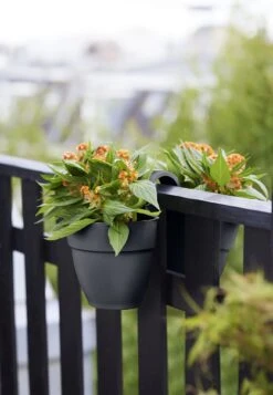 Elho Vibia Campana Flower Twin 21 Cm, Anthrazit