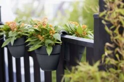 Elho Vibia Campana Flower Twin 21 Cm, Anthrazit -Garten Flaire Verkaufsgeschäft elho vibia campana flower twin 21 cm anthrazit 1124969 de