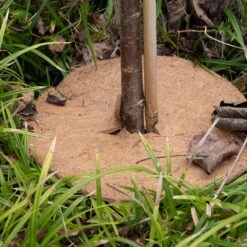 ESSCHERT DESIGN Pflanzschutzmatte Aus Kokos, M 8 ESSCHERT DESIGN Pflanzschutzmatte Aus Kokos, M -Garten Flaire Verkaufsgeschäft esschert design pflanzschutzmatte aus kokos 1621032 de