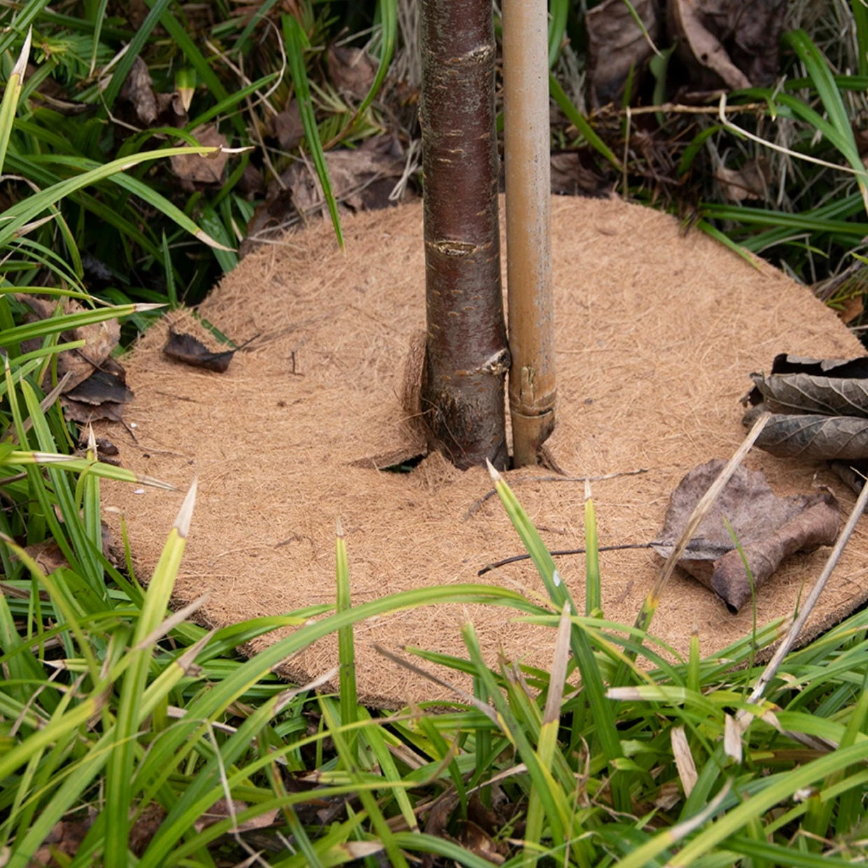 ESSCHERT DESIGN Pflanzschutzmatte Aus Kokos, M 5 ESSCHERT DESIGN Pflanzschutzmatte Aus Kokos, M - Image 3