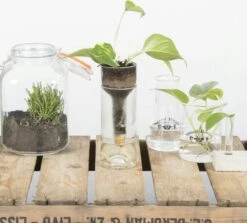 ESSCHERT DESIGN Selbstbewässernder Flaschentopf -Garten Flaire Verkaufsgeschäft esschert design selbstbewaessernder flaschentopf 1 stk 1211743 de