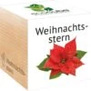 Ecocube "Weihnachtsstern" -Garten Flaire Verkaufsgeschäft feel green ecocube weihnachtsstern 1 k 1033177 de