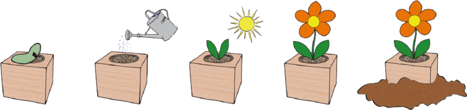 Ecocube "Weihnachtsstern" 6 Ecocube "Weihnachtsstern" – Bild 4