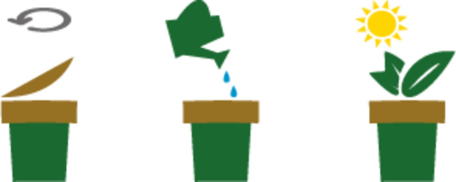 Ecocup "Orchideenbaum" 5 Ecocup "Orchideenbaum" - Image 3