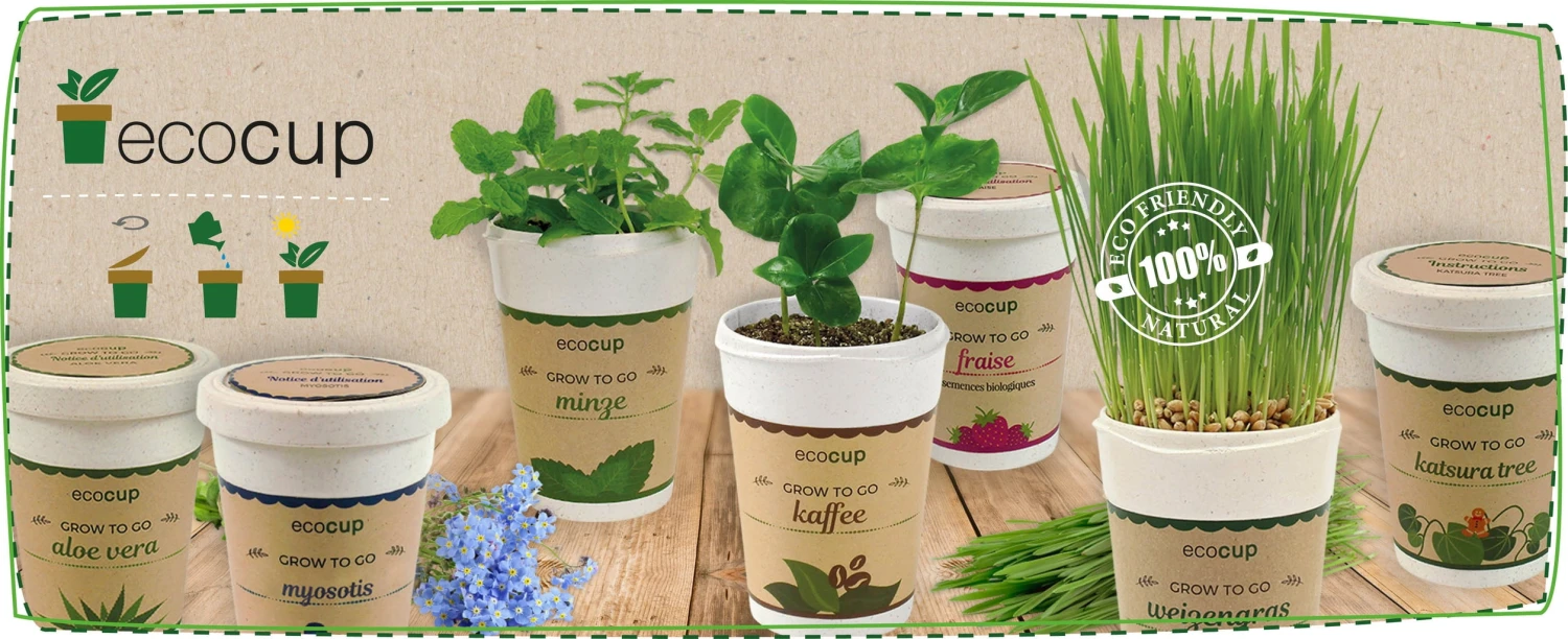 Ecocup "Orchideenbaum" 4 Ecocup "Orchideenbaum" - Image 2