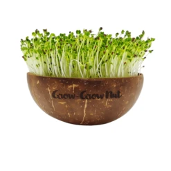 Microgreens Nachfüllpaket "Asian Festival" -Garten Flaire Verkaufsgeschäft grow grow nut microgreens nachfuellpaket asian festival 1 set 1012915 de
