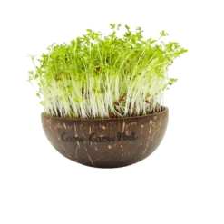 Microgreens Nachfüllpaket "The Mikro Greens" -Garten Flaire Verkaufsgeschäft grow grow nut microgreens nachfuellpaket the mikro greens 1 set 1012936 de