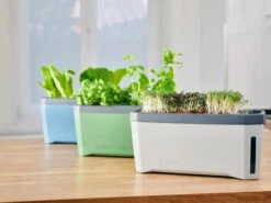 Harry Herbs Kräutertopf - Mit Haube, Weiß -Garten Flaire Verkaufsgeschäft gusta garden harry herbs kraeutertopf mit haube 1409486 de