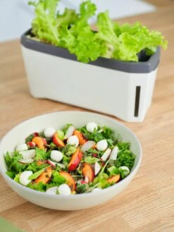 Harry Herbs Kräutertopf - Mit Haube, Weiß -Garten Flaire Verkaufsgeschäft gusta garden harry herbs kraeutertopf mit haube weiss 1410068 de