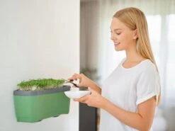 Harry Herbs Kräutertopf - Ohne Haube, Dunkelgrün -Garten Flaire Verkaufsgeschäft gusta garden harry herbs kraeutertopf ohne haube temno zelena 1680758 de