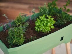 Garten Flaire Verkaufsgeschäft 13 Sammy Salad Hochbeet - Ohne Haube, Dunkelgrün