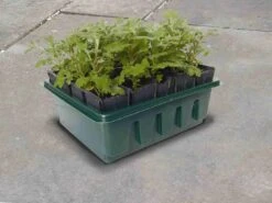 Anzuchtschale "Compact Rootrainers" -Garten Flaire Verkaufsgeschäft haxnicks anzuchtschale compact rootrainers 1 st 1665994 de