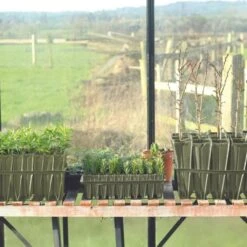 Anzuchtschale "Rapid Rootrainers" -Garten Flaire Verkaufsgeschäft haxnicks anzuchtschale rapid rootrainers 1 st 1665991 de