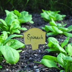 Bambus-Pflanzschilder -Garten Flaire Verkaufsgeschäft haxnicks bambus pflanzschilder 1 set 1670477 de