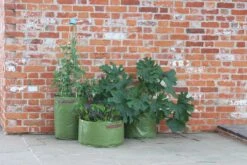 Gemüsepflanztaschen Im 3er Set, 3 Stück 9 Gemüsepflanztaschen Im 3er Set, 3 Stück -Garten Flaire Verkaufsgeschäft haxnicks gemuesepflanztaschen im 3er set 3 st 1666015 de