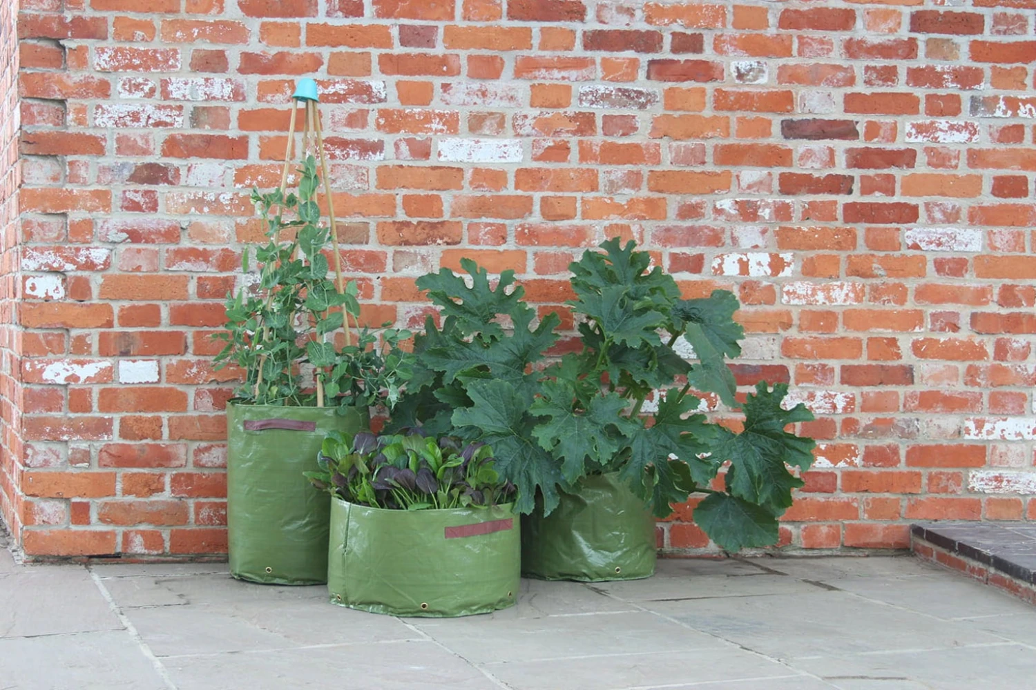 Gemüsepflanztaschen Im 3er Set, 3 Stück 6 Gemüsepflanztaschen Im 3er Set, 3 Stück - Image 4