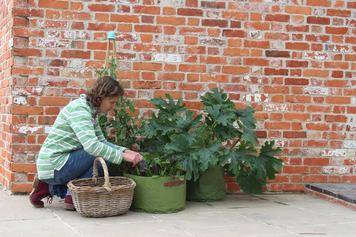 Gemüsepflanztaschen Im 3er Set, 3 Stück 5 Gemüsepflanztaschen Im 3er Set, 3 Stück - Image 3