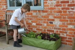 Große Allzweck-Pflanztasche -Garten Flaire Verkaufsgeschäft haxnicks grosse allzweck pflanztasche 1 st 1666018 de