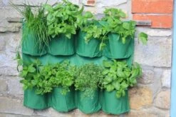 Hängender Kräutergarten -Garten Flaire Verkaufsgeschäft haxnicks haengender kraeutergarten 1 st 1656013 de