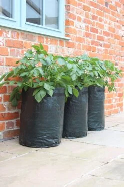 Kartoffelpflanztaschen Im 3er Set, 3 Stück -Garten Flaire Verkaufsgeschäft haxnicks kartoffelpflanztaschen im 3er set 3 st 1666022 de