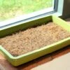 Microgreen-Anzuchtmatte, 3 Stück -Garten Flaire Verkaufsgeschäft haxnicks microgreen anzuchtmatte 3 k 970960 de