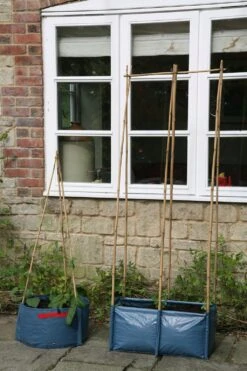 Pflanztasche Für Erbsen & Bohnen