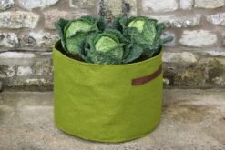 Garten Flaire Verkaufsgeschäft -Garten Flaire Verkaufsgeschäft haxnicks vigoroot gemuesepflanztasche 1652238 de