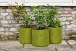 Garten Flaire Verkaufsgeschäft -Garten Flaire Verkaufsgeschäft haxnicks vigoroot pflanztaschen im 3er set 1652244 de